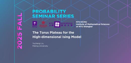The Torus Plateau for the High-dimensional Ising Model