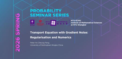 Transport Equation with Gradient Noise: Regularisation and Numerics