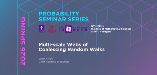 Multi-scale Webs of Coalescing Random Walks