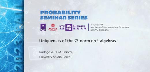 Uniqueness of the C*-norm on *-algebras