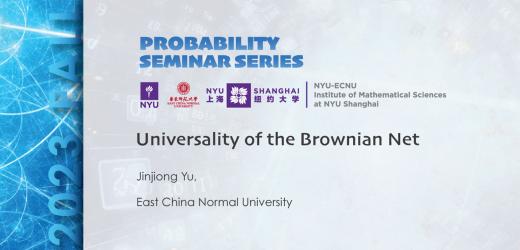 Universality of the Brownian Net