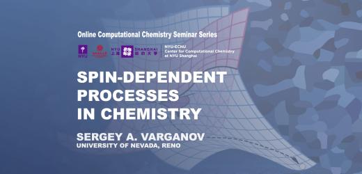 Spin-Dependent Processes in Chemistry