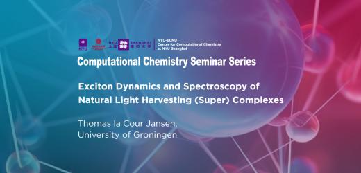 Exciton Dynamics and Spectroscopy of Natural Light Harvesting (Super) Complexes