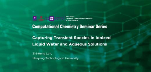 Capturing Transient Species in Ionized Liquid Water and Aqueous Solutions