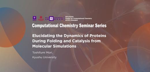 Elucidating the Dynamics of Proteins During Folding and Catalysis from Molecular Simulations