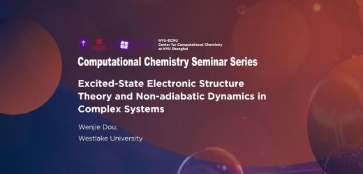 Excited-State Electronic Structure Theory and Non-adiabatic Dynamics in Complex Systems