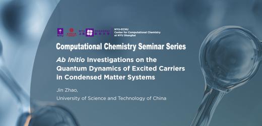 Ab Initio Investigations on the Quantum Dynamics of Excited Carriers in Condensed Matter Systems