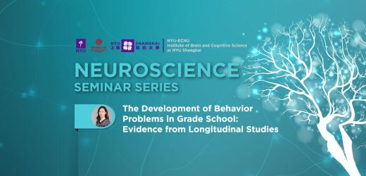 The development of behavior problems in grade school: Evidence from longitudinal studies
