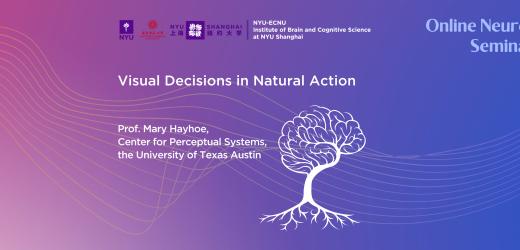 Visual Decisions in Natural Action