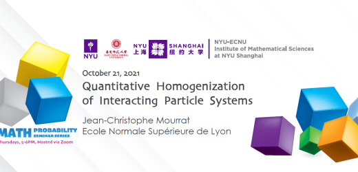 Quantitative Homogenization  of Interacting Particle Systems