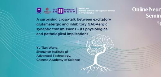A surprising cross-talk between excitatory glutamatergic and inhibitory GABAergic synaptic transmissions