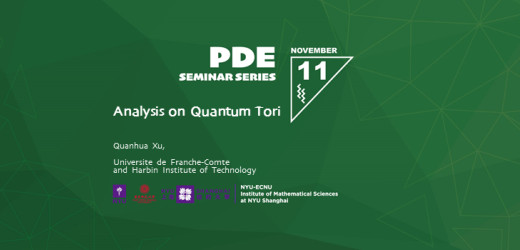Analysis on Quantum Tori