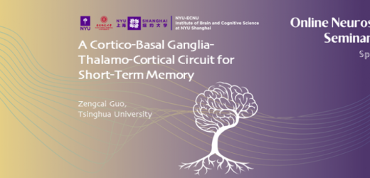 A Cortico-Basal Ganglia-Thalamo-Cortical Circuit for Short-Term Memory