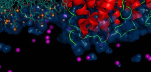 2015 Computational Chemistry Conference of Shanghai Universities