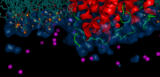 Frontiers in Computational Chemistry International Workshop