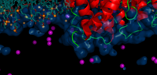 Seminar - Pathological Crystals: From Spirals to Therapies