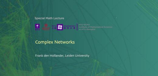 Complex Networks (Lecture I)