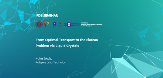 From Optimal Transport to the Plateau Problem via Liquid Crystals