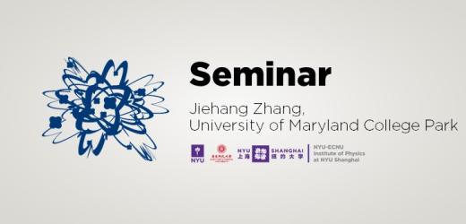 Quantum Simulations of Non-equilibrium Dynamics with Ion Spin Chains