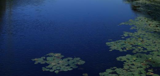 International Forum on Social Policy and Social Development: The Future Prospect of Social Development in China and around the World
