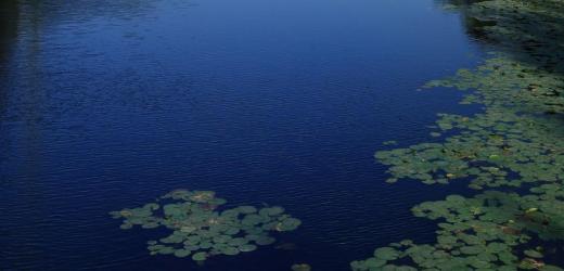 International Summer Graduate School on “Contemporary Urbanization and Social Governance”