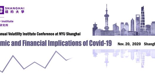VINS Sixth Annual Conference