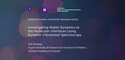 Investigating Water Dynamics at the Molecular Interfaces Using Dynamic Vibrational Spectroscopy