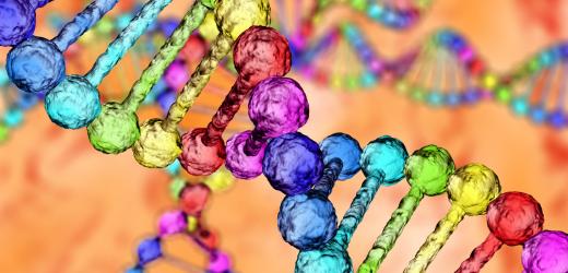 A blind man and an elephant:  Tales of cancer and data analysis.