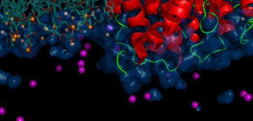 Unraveling the Secrets of Human DNA Damage Repair by Combined Experimental and Computation Modeling Methods