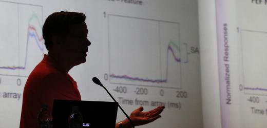 How the Brain Pays Attention?