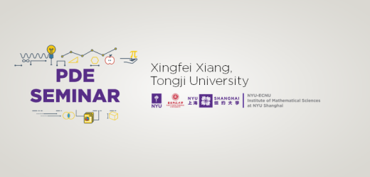 The Method of Nehari-Pankov Manifold