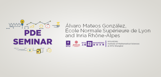 Asymptotic Analysis of PDEs Arising in Biological Processes of Anomalous Diffusion