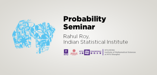 Drainage Networks and the Brownian Web