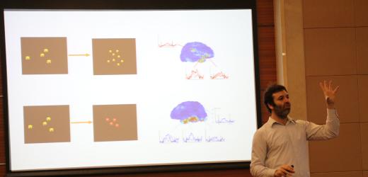 Neuroscience and Education: Prime Time to Build the Bridge