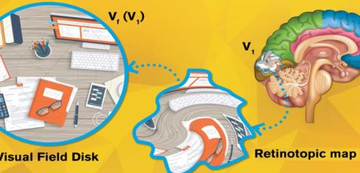 NYU Shanghai Chief Scientist Builds First Mathematical Model for How We ‘See’ the World