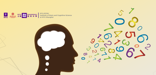 New study demystifies how numerical information is processed in human language 