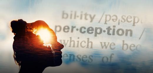 Who Can Become an Expert? NYU Shanghai Researcher Says General Perceptual Learning Ability Matters