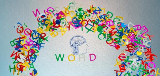 Researchers Revealed the Function of Delta-Band Neural Responses in Speech Comprehension