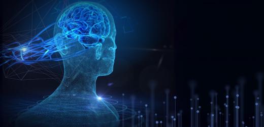 Prof. Xin Jin’s Team Uncover Neural Mechanisms Behind Action Repetition and Switching — Offering New Hope for Autism and OCD Treatment