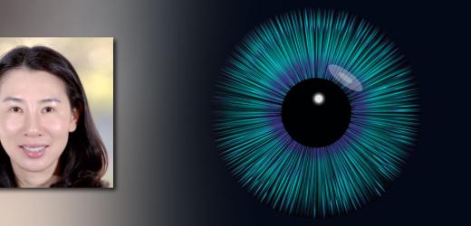 Professor Li Li Presented Speech at Elsevier Neuroscience Online Seminar