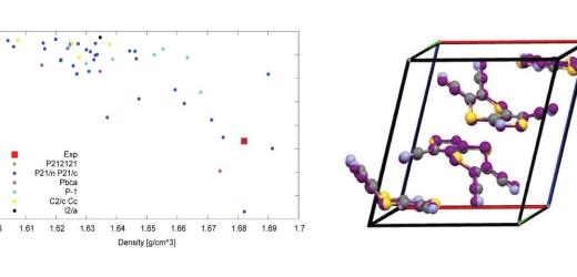 Tuckerman’s Group Predict Most Accurate Structure for one Target Molecule in the 6th CCDC Blind Test