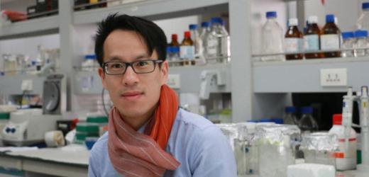 Hippocampal System is Indispensable for Adapting to Changes in Temporal Structure in Memory