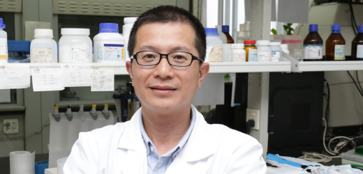 Early Auditory Training Yields Positive Cognitive Results into Older Age