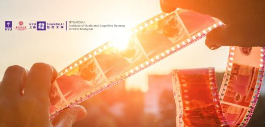 New study finds evidence for memory replay phenomenon in macaque monkeys