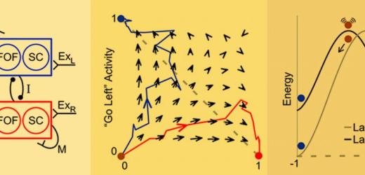 New Evidence for Short Term Memory Theory