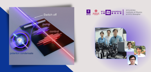 Ultrafast Polariton Switch Realized by Institute of Physics Members