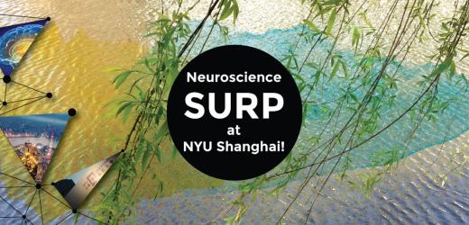 Nurturing Science Careers: NYU Shanghai’s Incubator for Future Neuroscientists