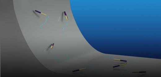 NYU Shanghai and NYU Scientists Find Way to Navigate a Heavy Uphill Climb