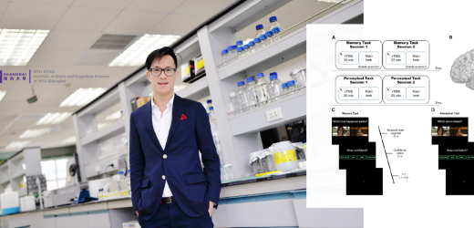 New Study Identifies Neural Hub for Memory Metacognition