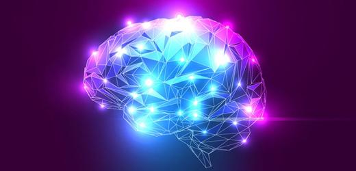 A Large-scale Dynamical Model Reveals Temporal Hierarchy in Primary Cortex